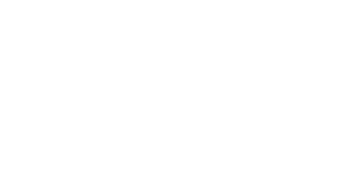 Century Ply